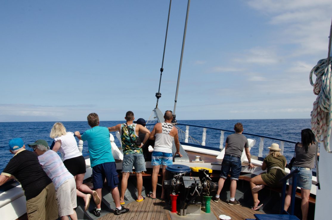 Clients-Tenerife-Watching-Whales-and-Dolphins-Trip