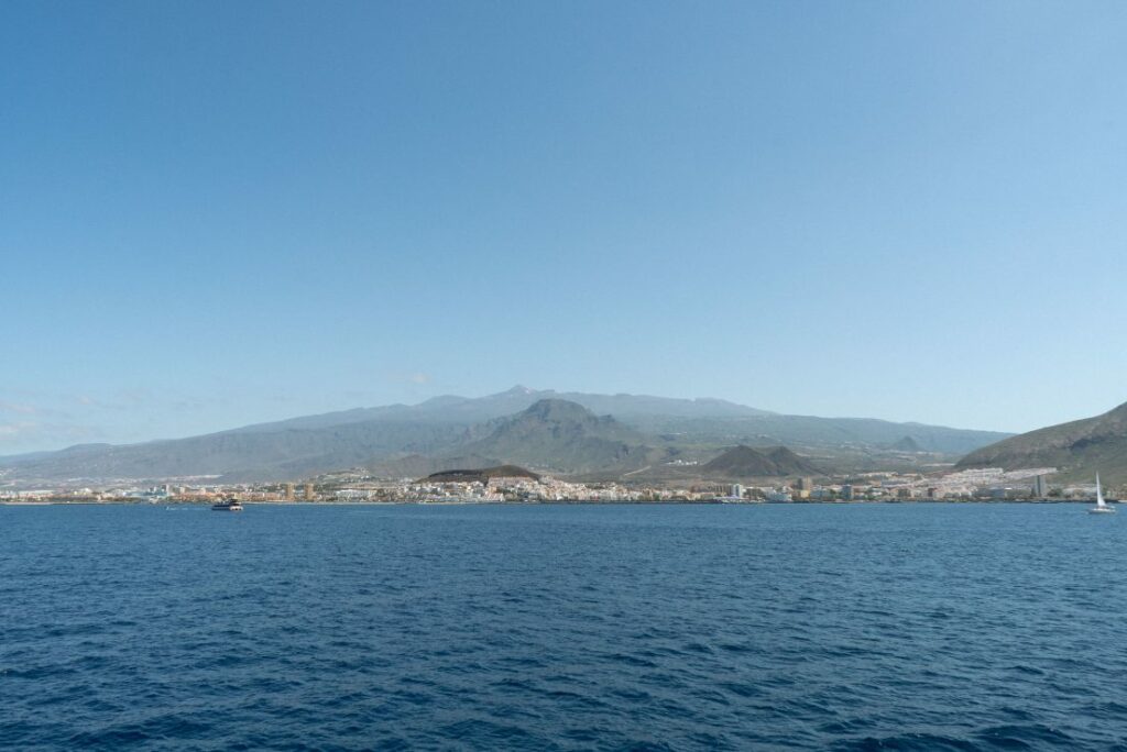 Tenerife-Whale-and-Dolphin-Watching-Mar-de-Ons