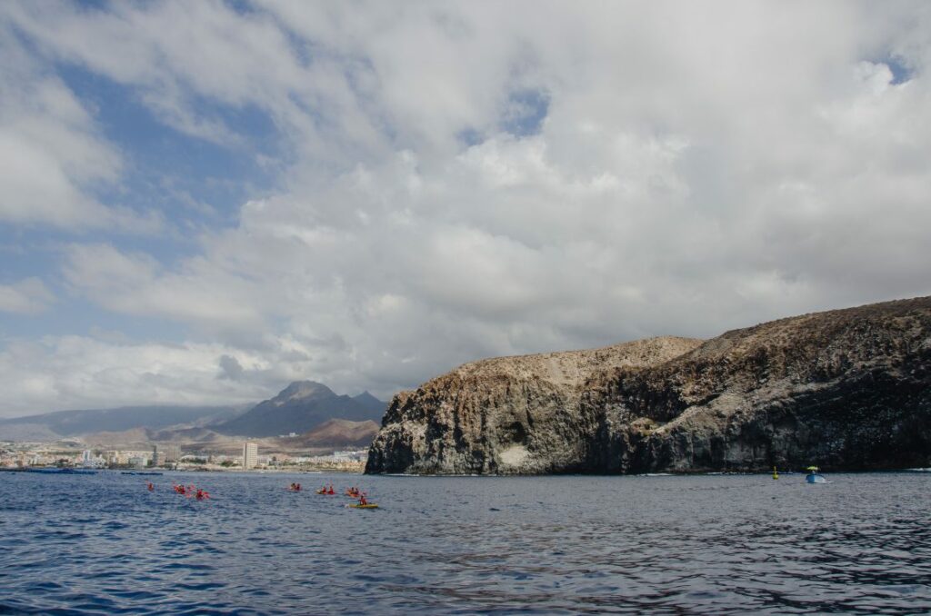 Tenerife-Observación de ballenas y delfines-Mar-de-Ons-Sailing