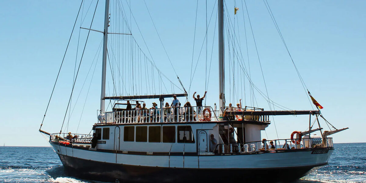 Whales and Dolphins Watching Tenerife